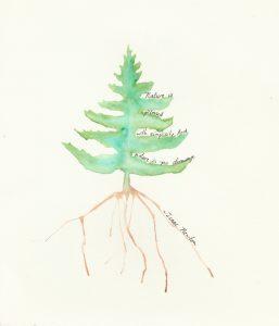 watercolor painting of tree with quote