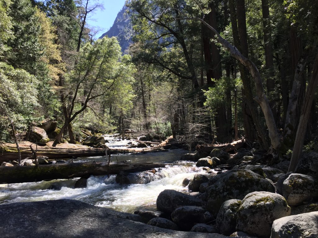 Happy Isles, Yosemite