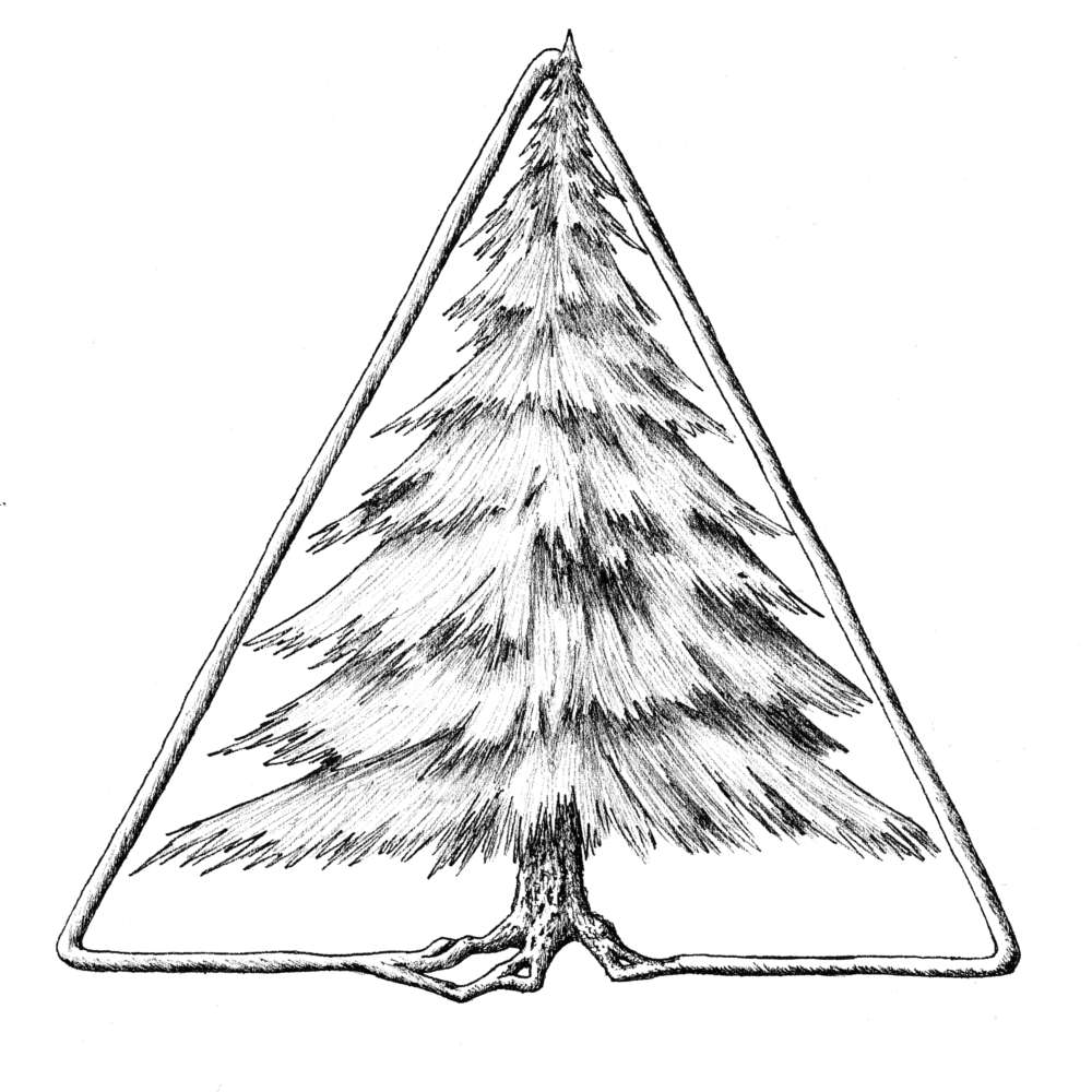 Evergreen Tree in Triangle ink drawing